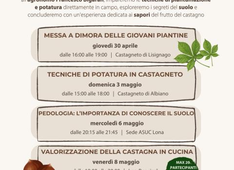L'arte del Castagno: dalla Terra alla Tavola
