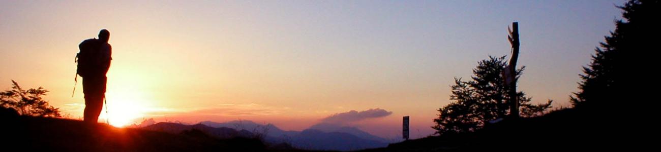 I sensi in cammino