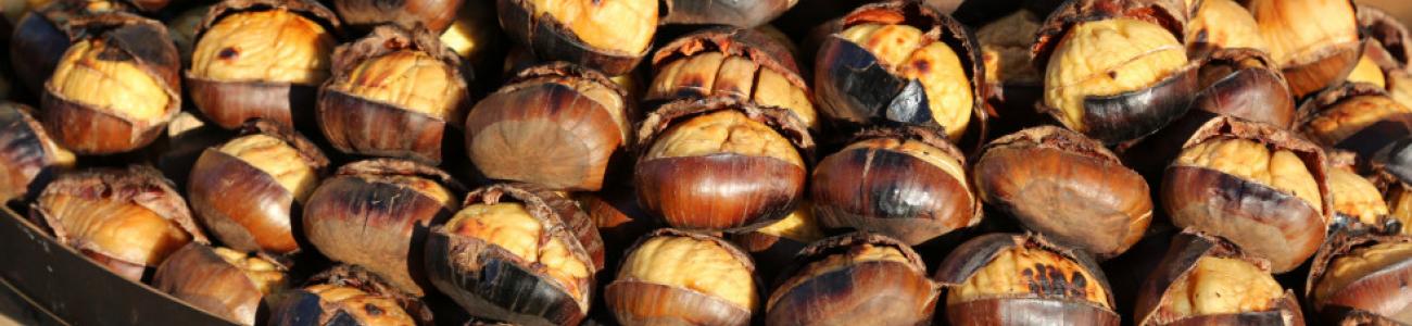 Camminata al castagneto di Albiano