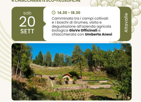 Filosofia nel Campo