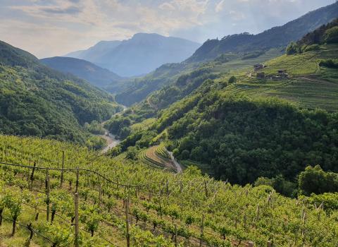 San Leonardo e le campagne di Lisignago