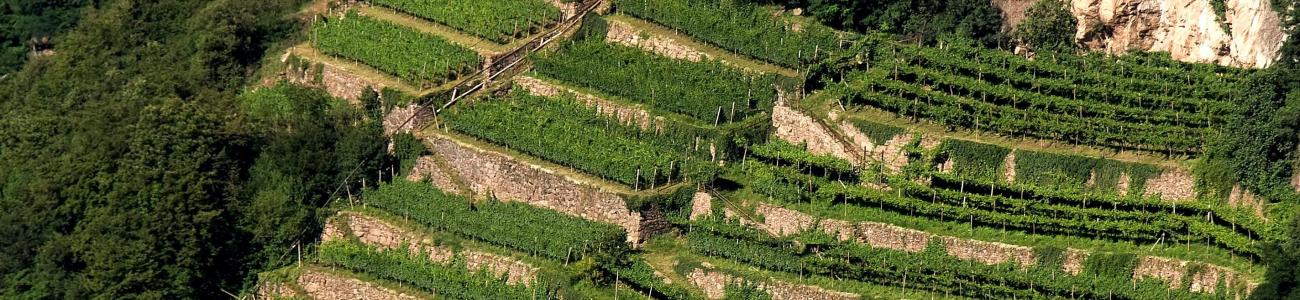 La Natura è (a) casa tua La Natura è (a) casa tua