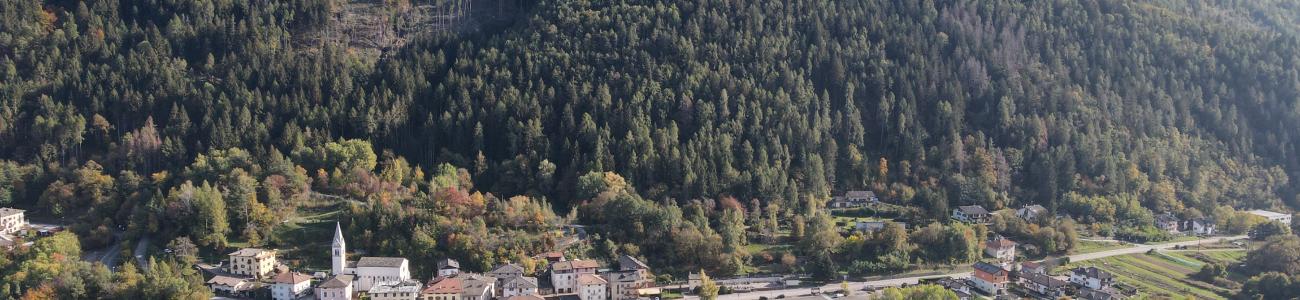 I boschi alti di Lona