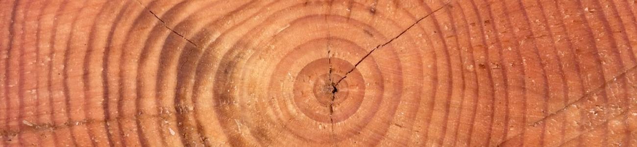 La direttissima per Malga Vernera
